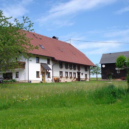 Ferienhaus Ehinger Appartamento Breitnau Esterno foto