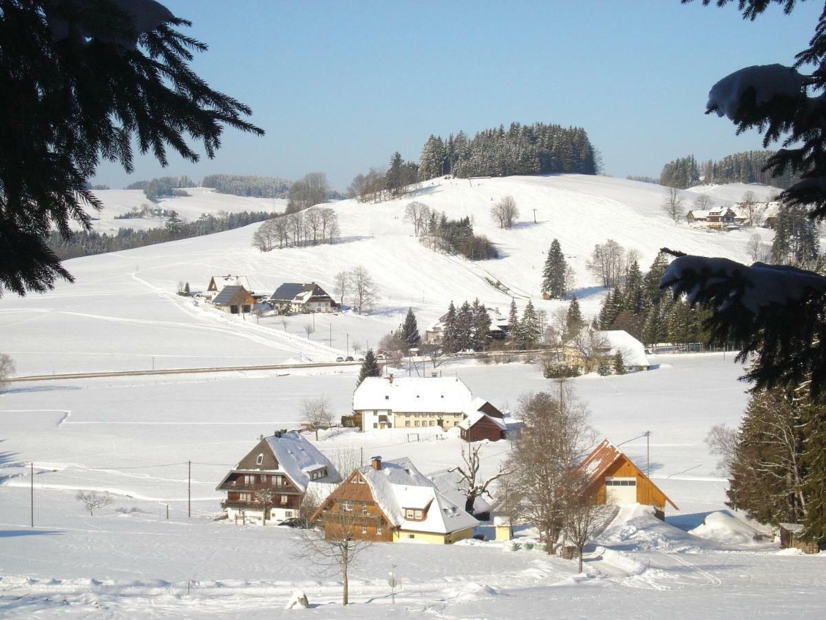 Ferienhaus Ehinger Appartamento Breitnau Esterno foto