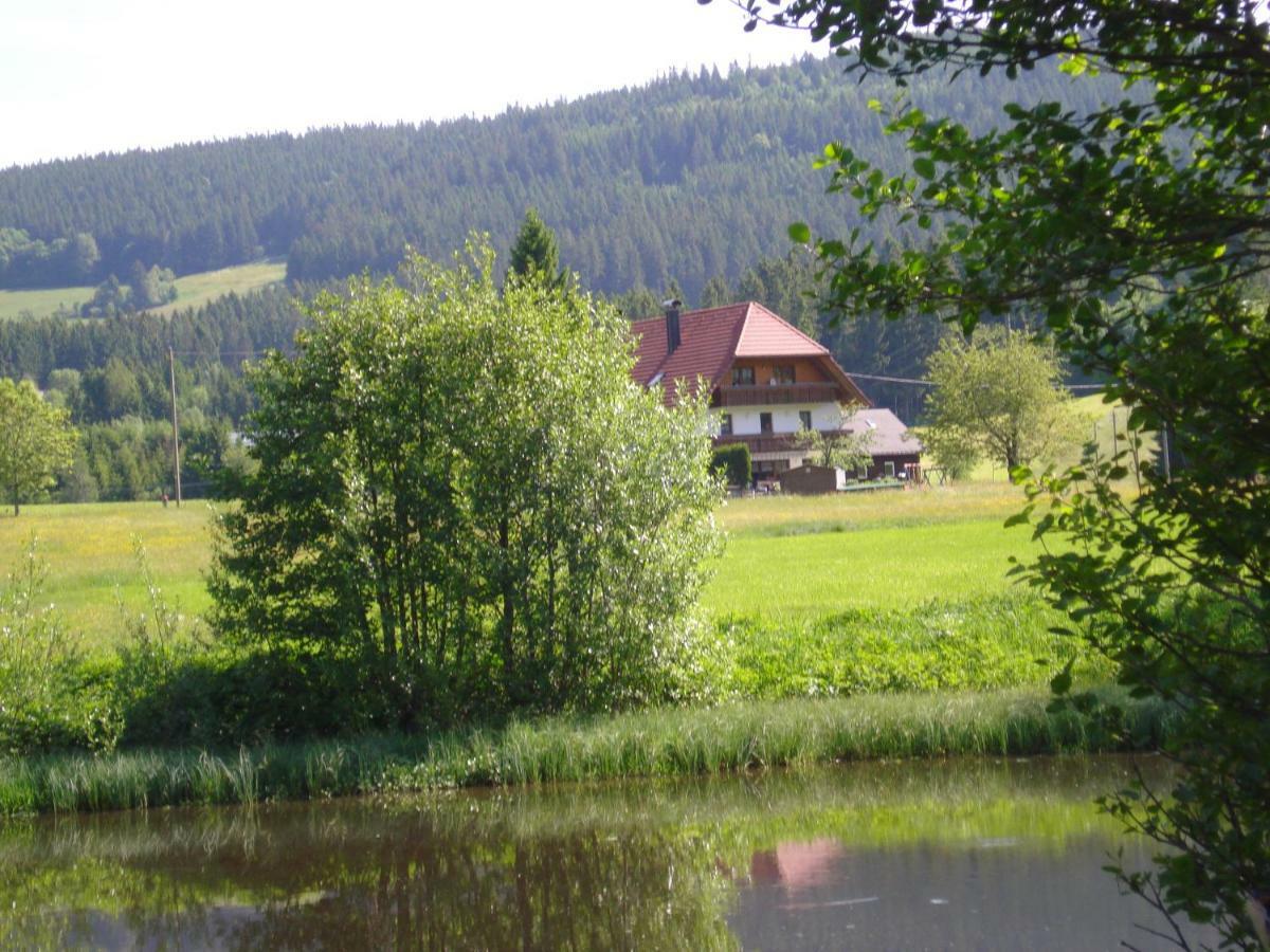 Ferienhaus Ehinger Appartamento Breitnau Esterno foto