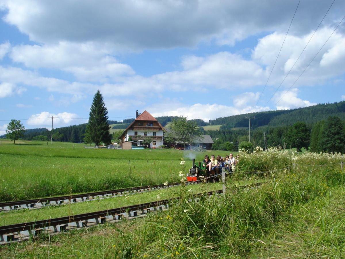 Ferienhaus Ehinger Appartamento Breitnau Esterno foto