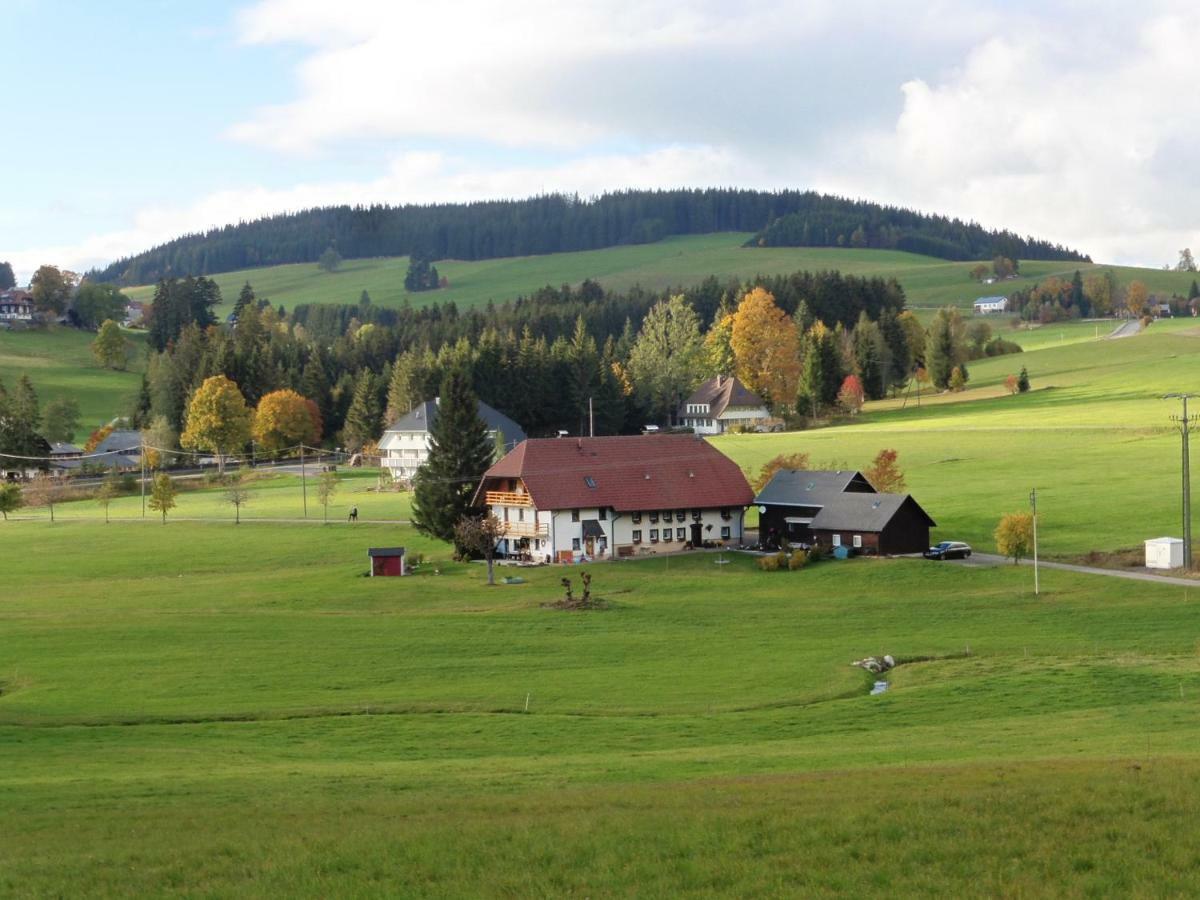 Ferienhaus Ehinger Appartamento Breitnau Esterno foto