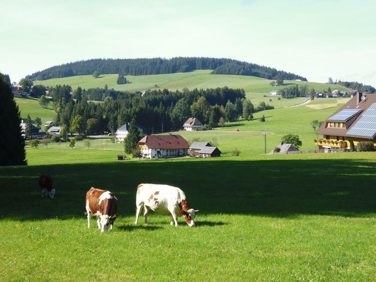 Ferienhaus Ehinger Appartamento Breitnau Esterno foto