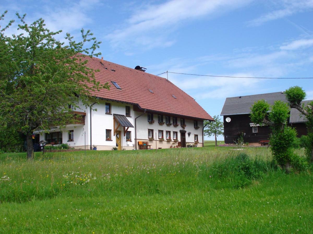 Ferienhaus Ehinger Appartamento Breitnau Esterno foto