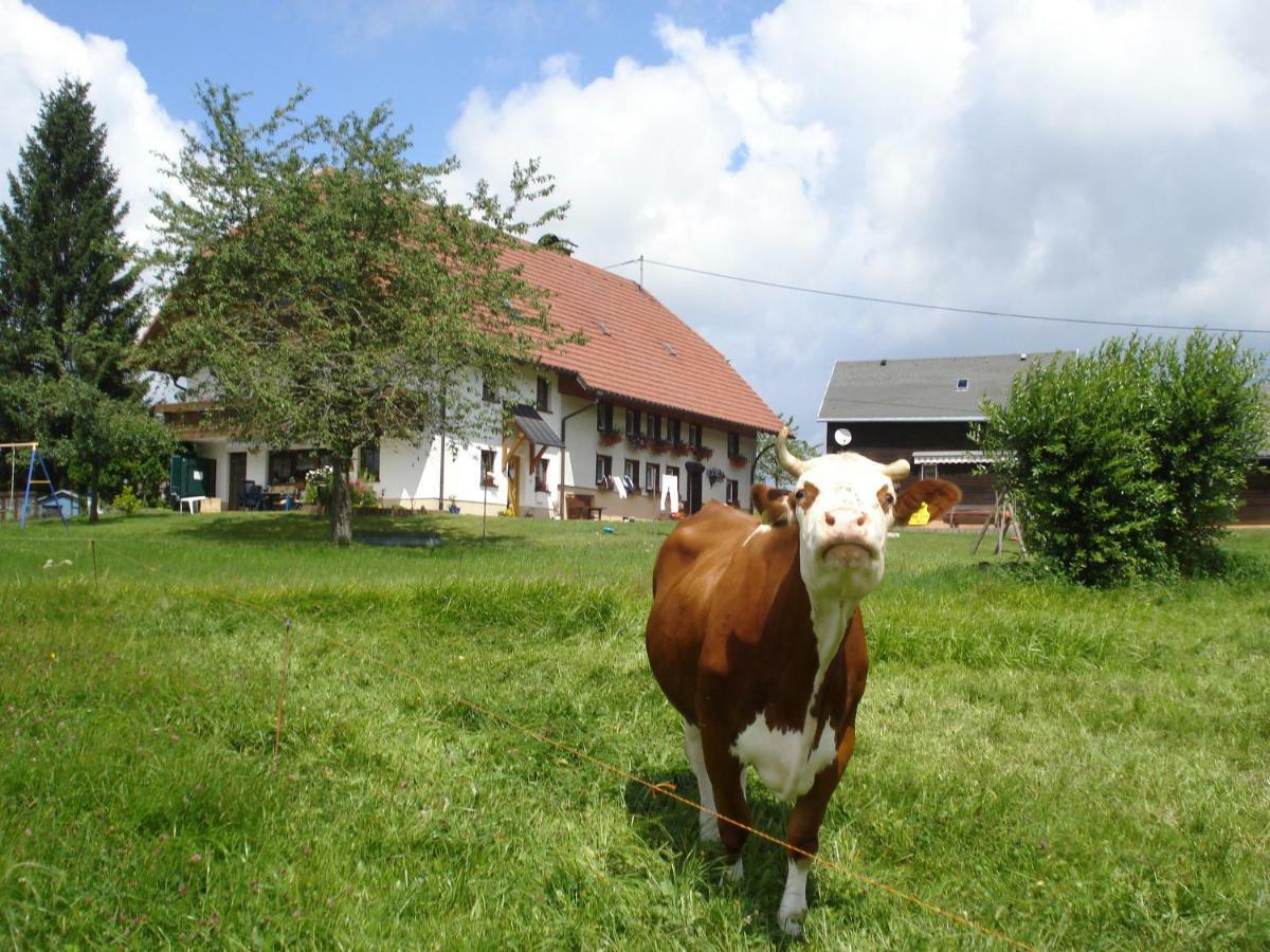 Ferienhaus Ehinger Appartamento Breitnau Esterno foto