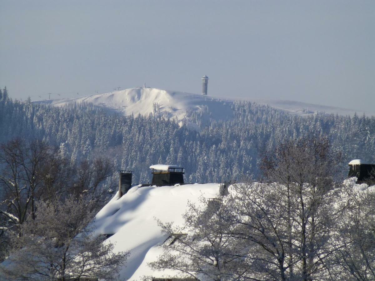 Ferienhaus Ehinger Appartamento Breitnau Esterno foto