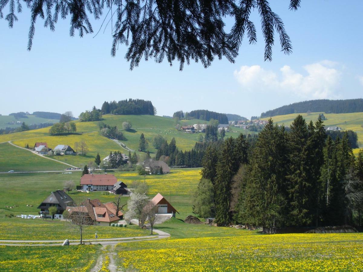 Ferienhaus Ehinger Appartamento Breitnau Esterno foto