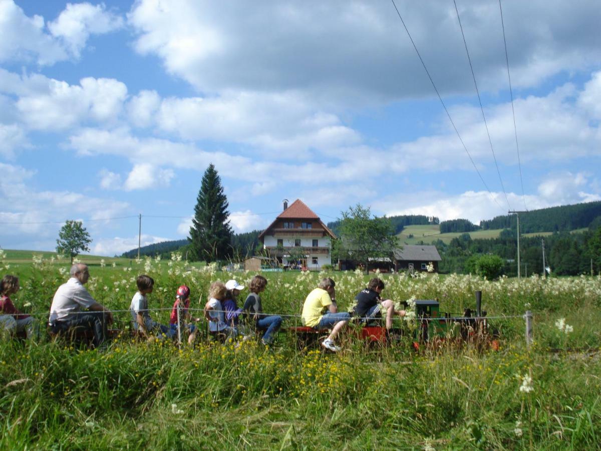 Ferienhaus Ehinger Appartamento Breitnau Esterno foto