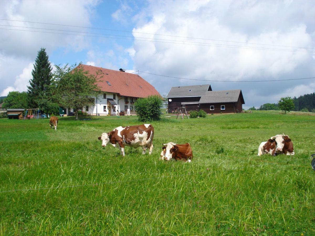 Ferienhaus Ehinger Appartamento Breitnau Esterno foto