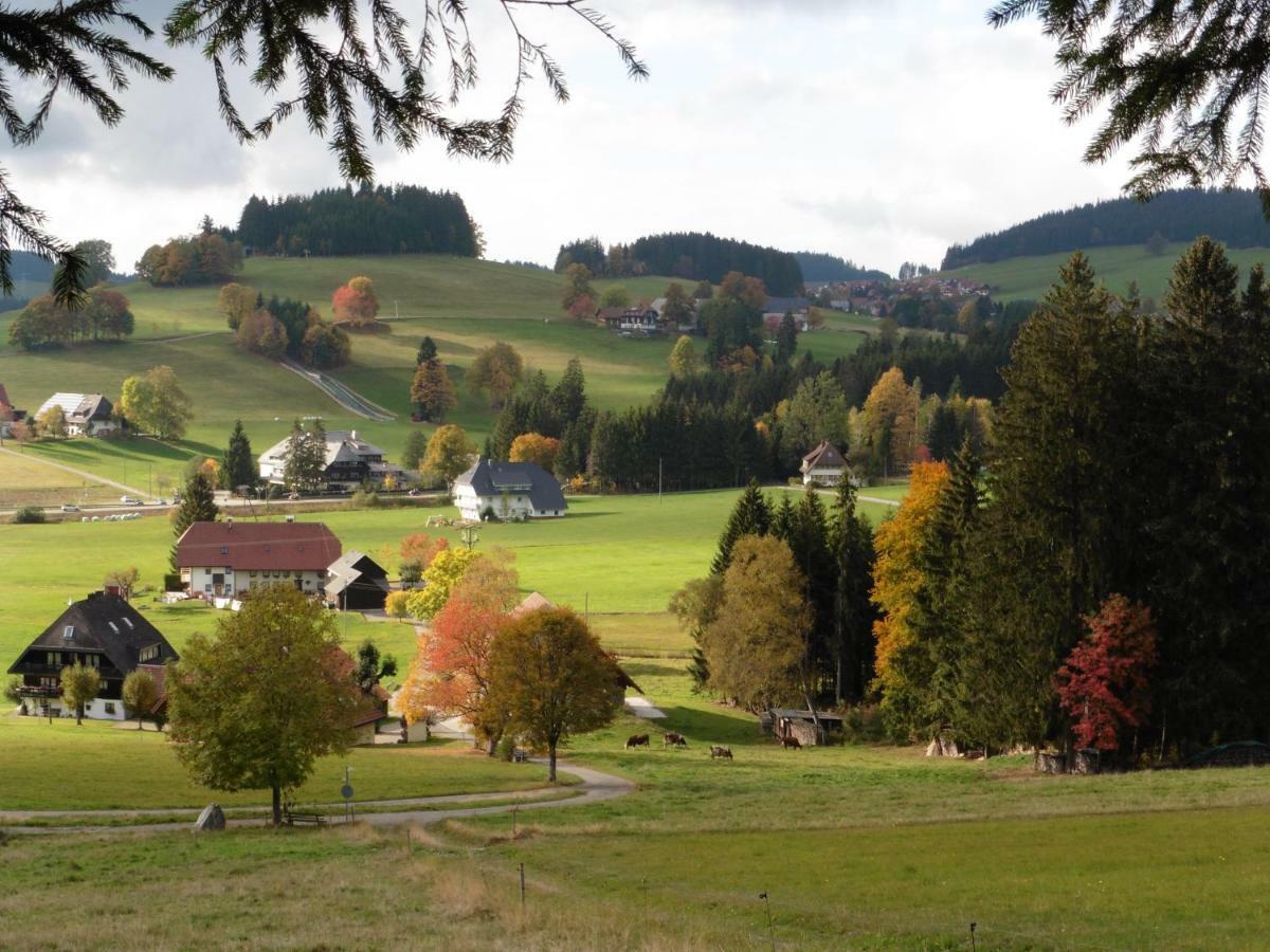 Ferienhaus Ehinger Appartamento Breitnau Esterno foto