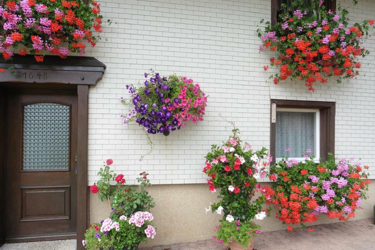 Ferienhaus Ehinger Appartamento Breitnau Esterno foto