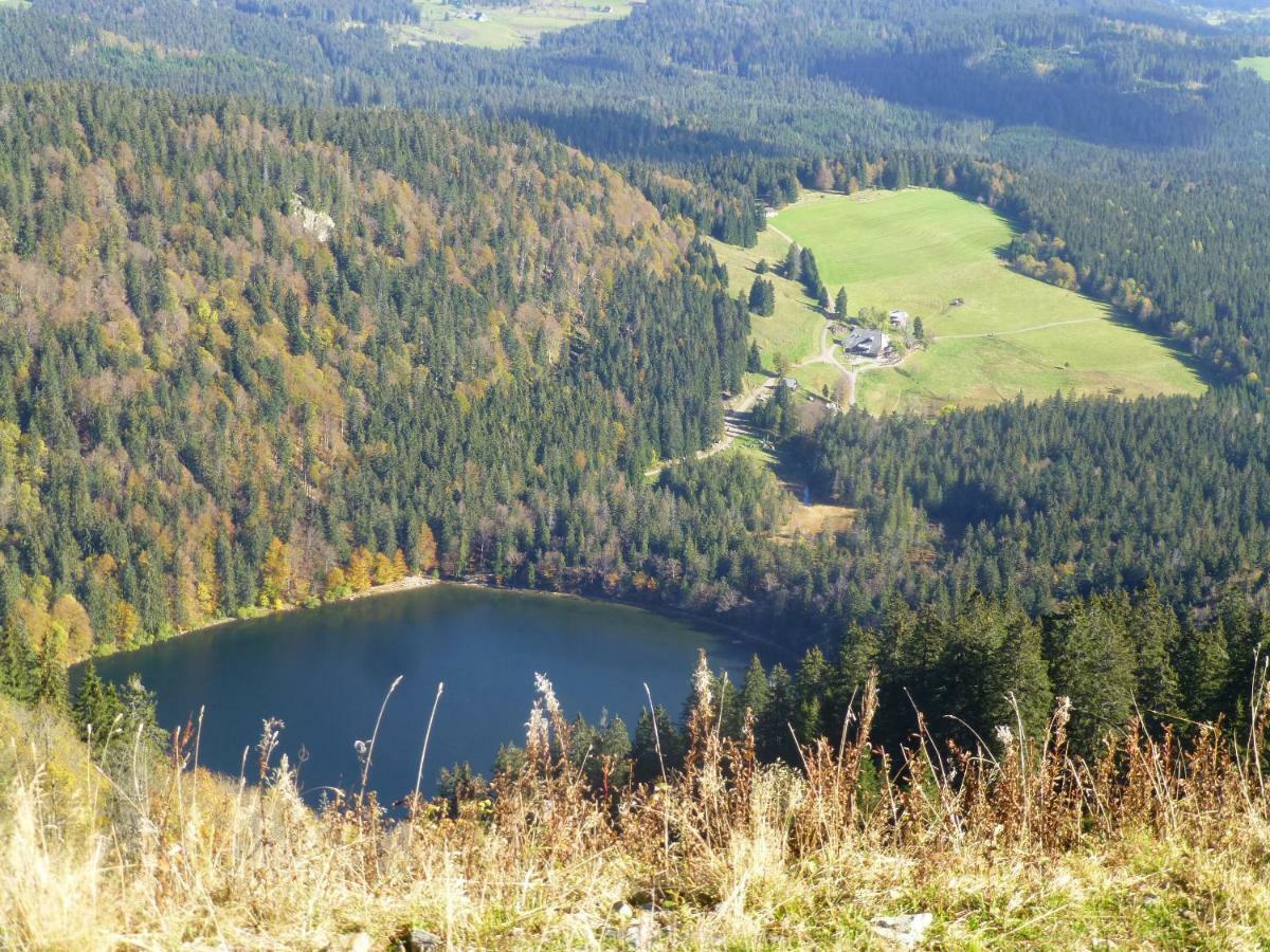 Ferienhaus Ehinger Appartamento Breitnau Esterno foto